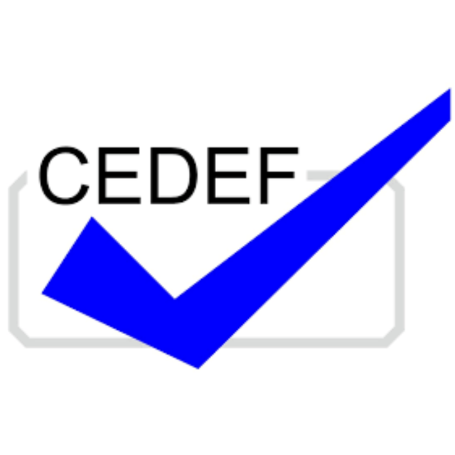 CEDEF s.a. logo