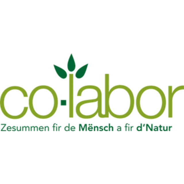 Co-labor s.c. logo