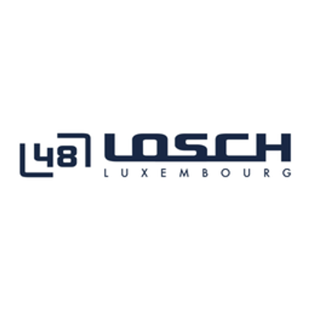 Driving School by Losch logo