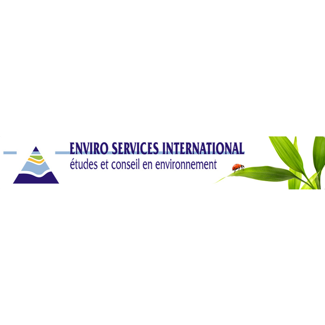 Enviro Services International logo